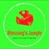 blessingsjungle